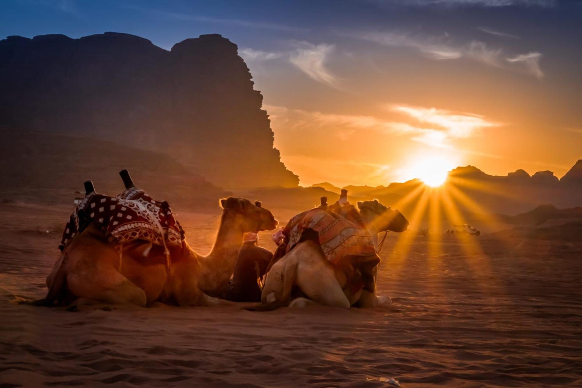 Hotel Wadi Rum Caeser Camp Esterno foto